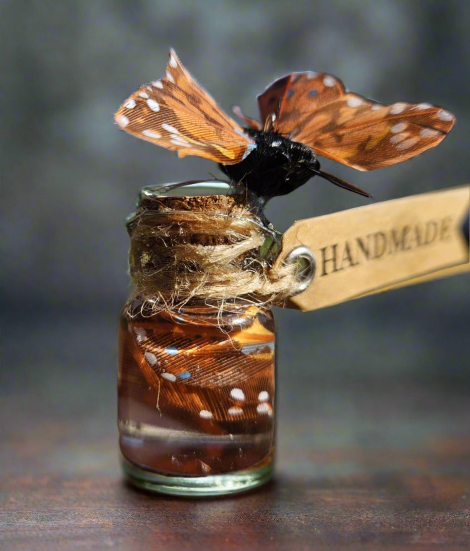 Preserved Butterfly Wings *HALLOWEEN SPECIAL*