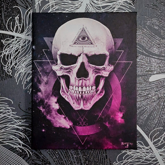 Pink Skull Canvas